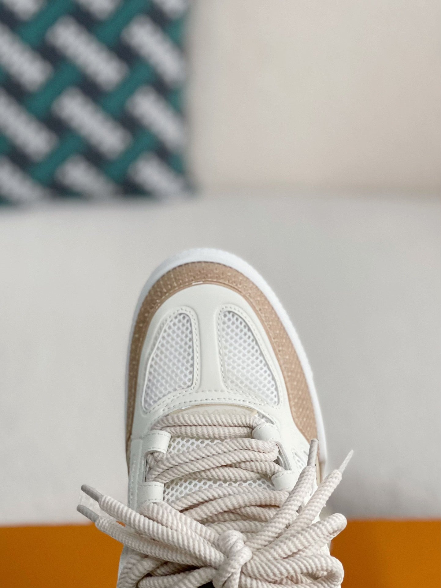 LOUIS VUITTON SKATE