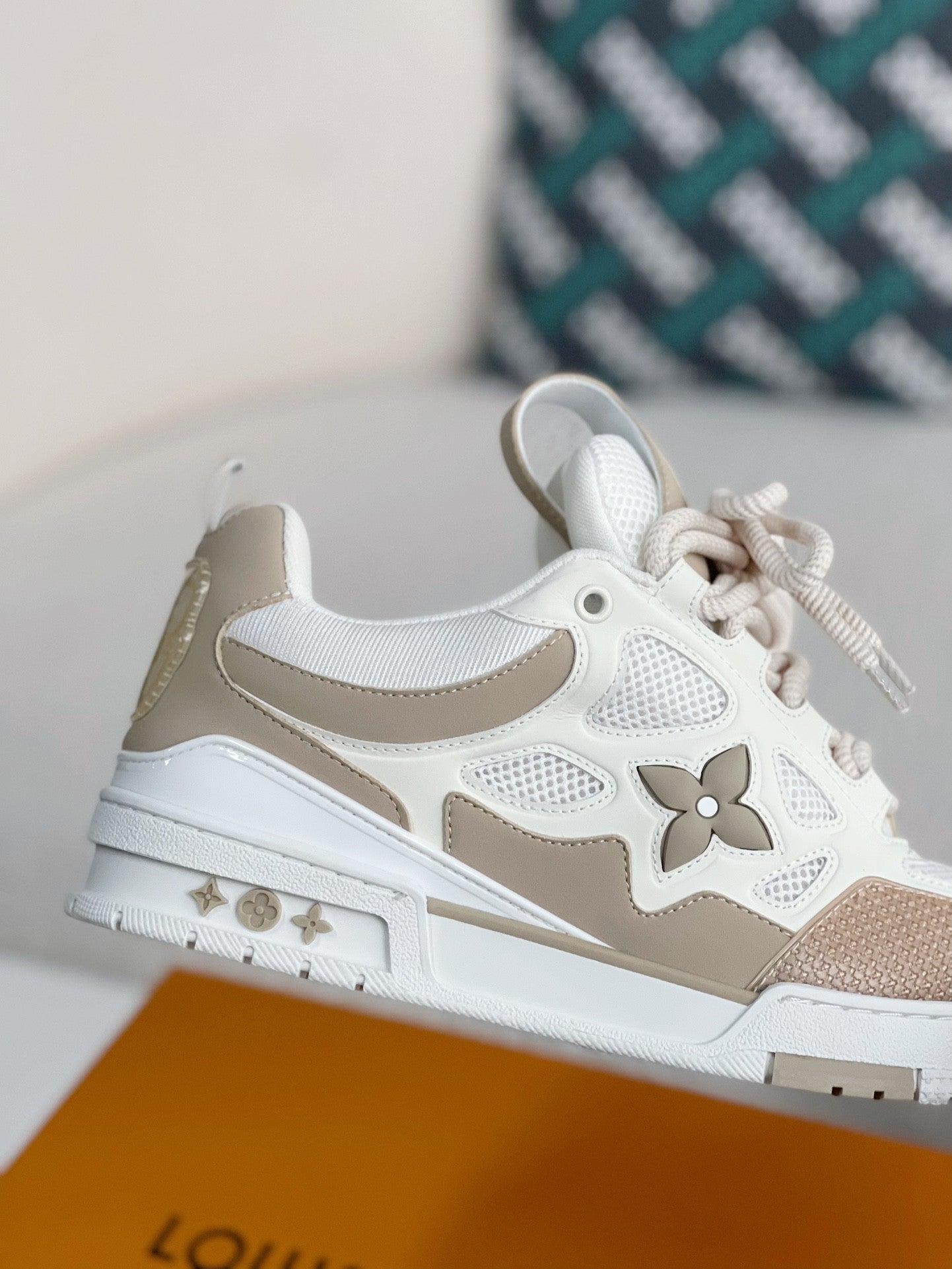LOUIS VUITTON SKATE