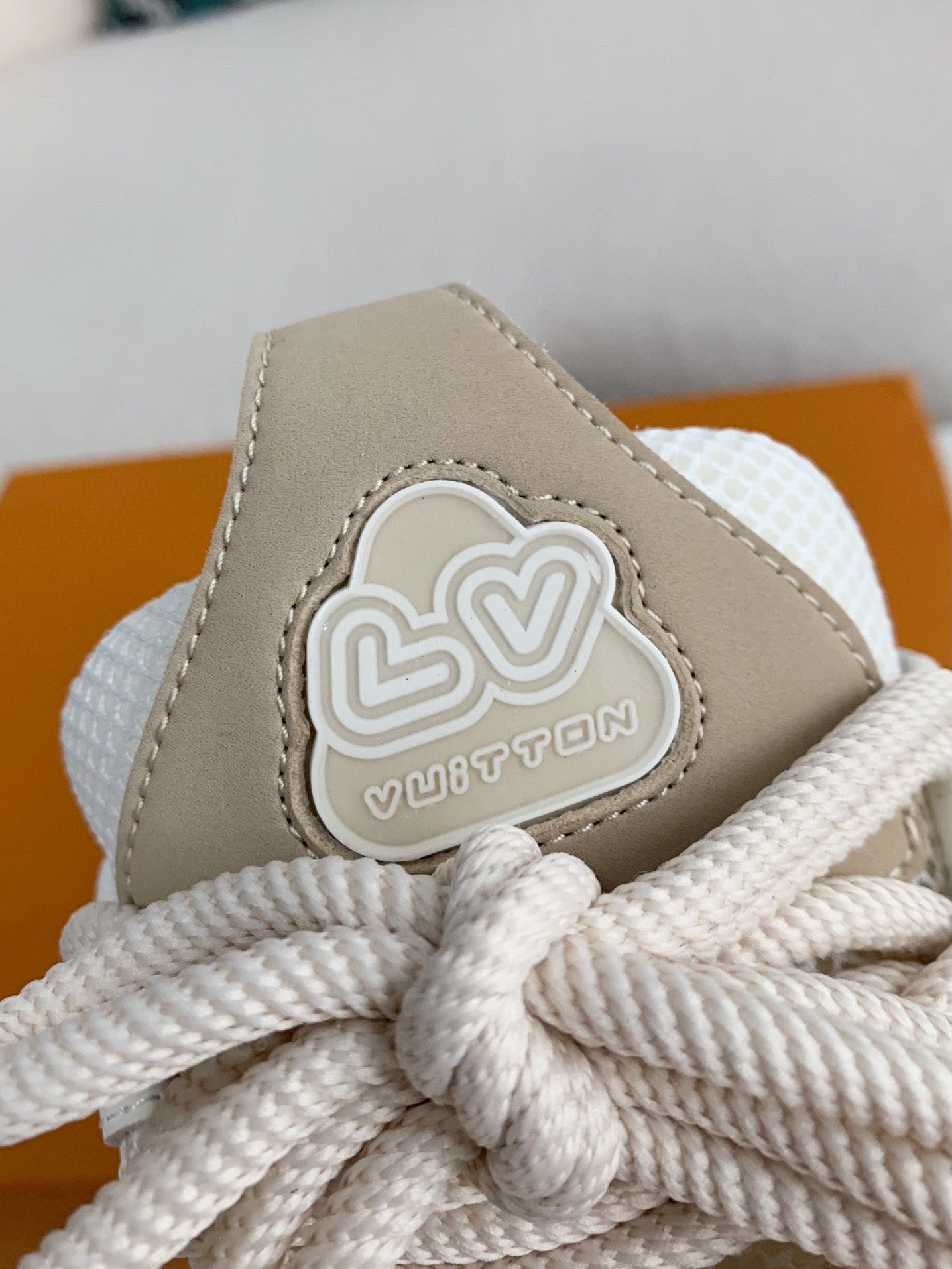 LOUIS VUITTON SKATE