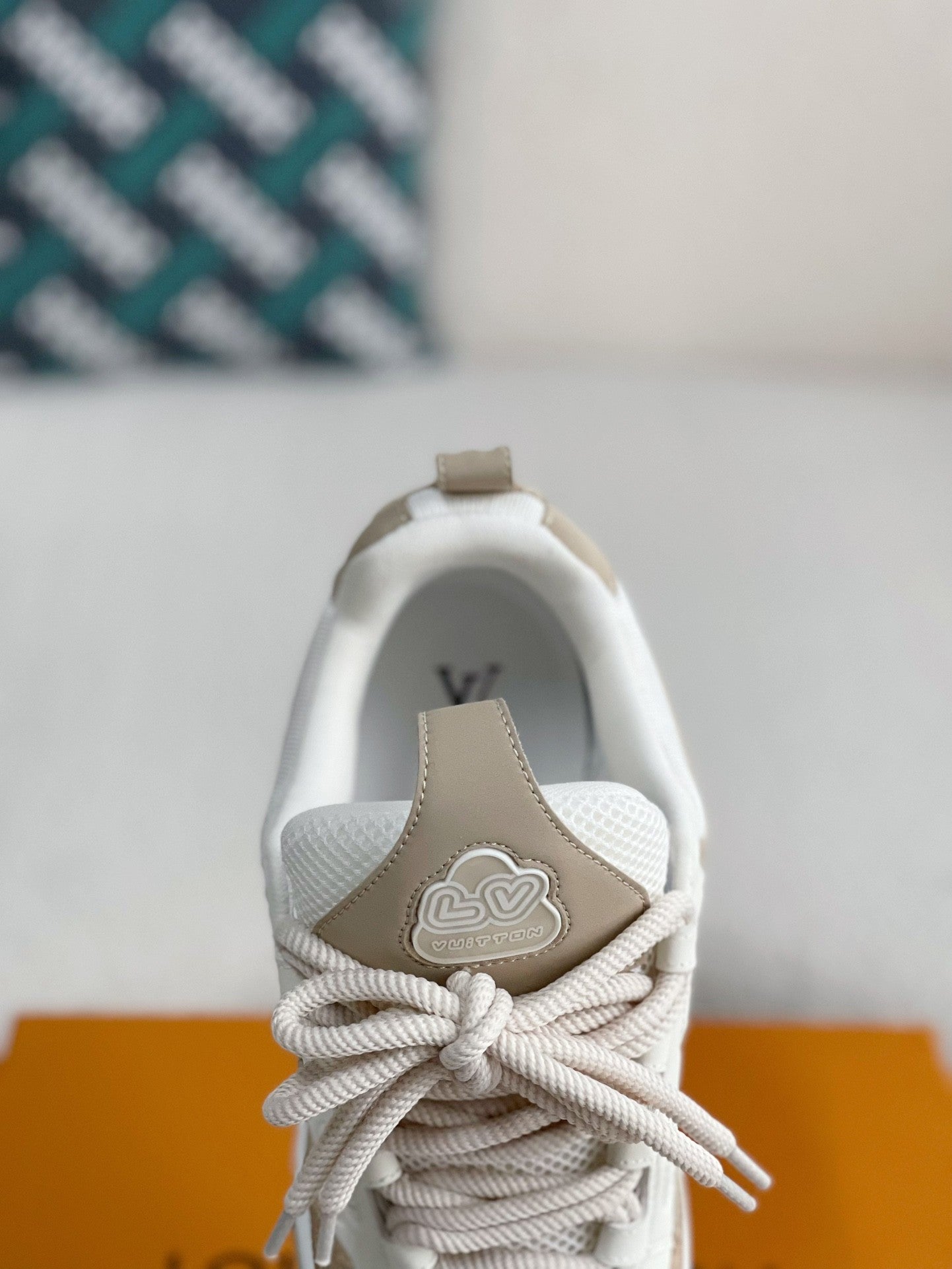 LOUIS VUITTON SKATE